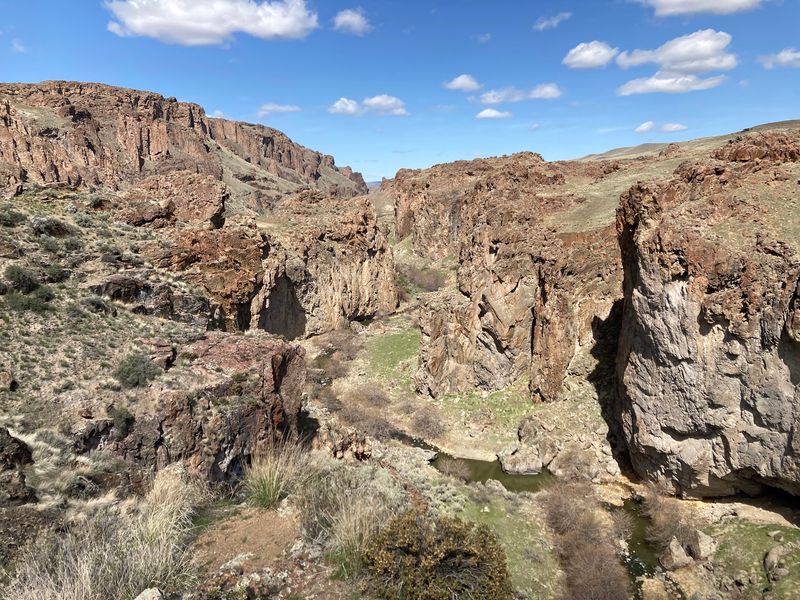 Succor Creek State Natural Area