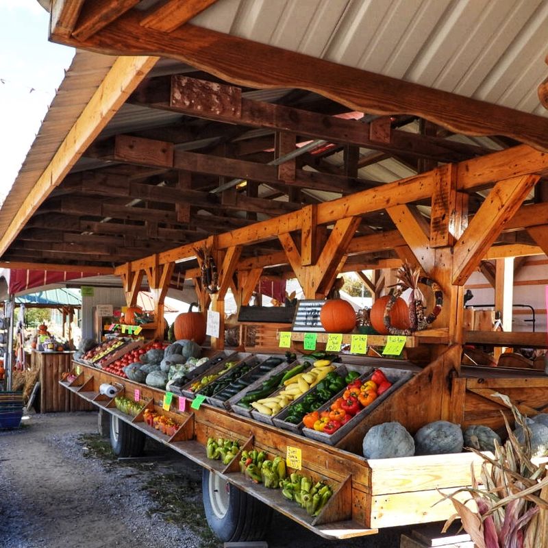 Rifle River Farmer’s Market Notes