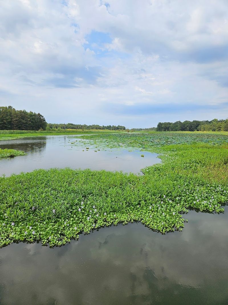 Town Slowly Swallowed By Water And Time