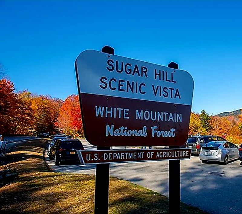 Sugar Hill