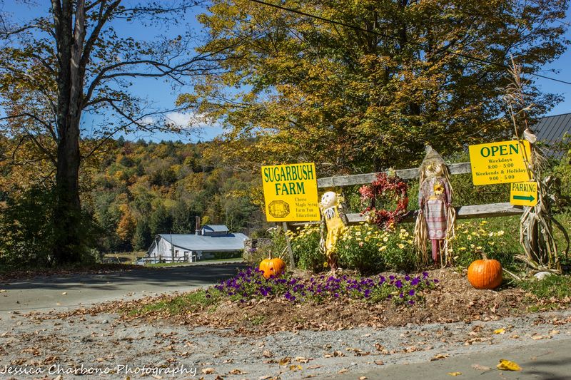 Sugarbush Farm Sugarbush Farm