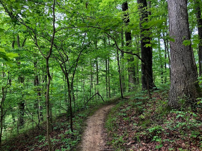 Harsha Lake Trail Network, East Fork State Park