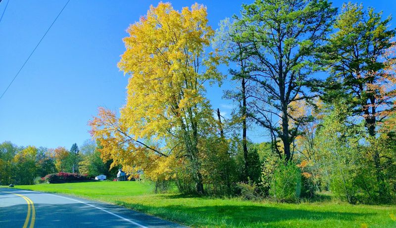 Sullivan County