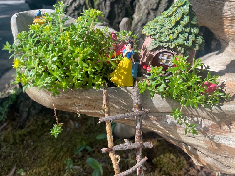 Summer Activities And Whimsical Touches Summer Activities And Whimsical Touches