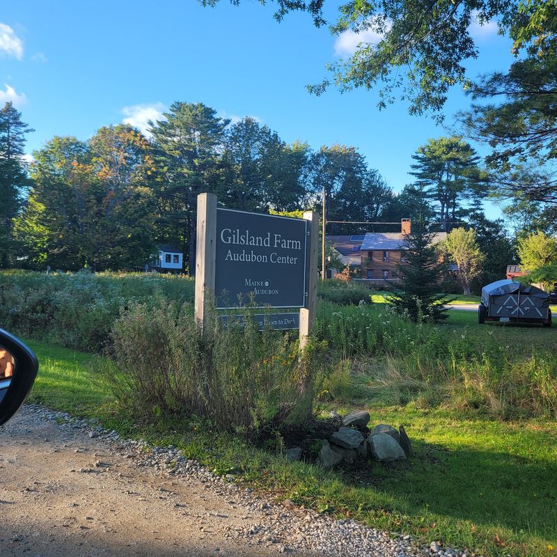 Summer Brings The Farm Alive