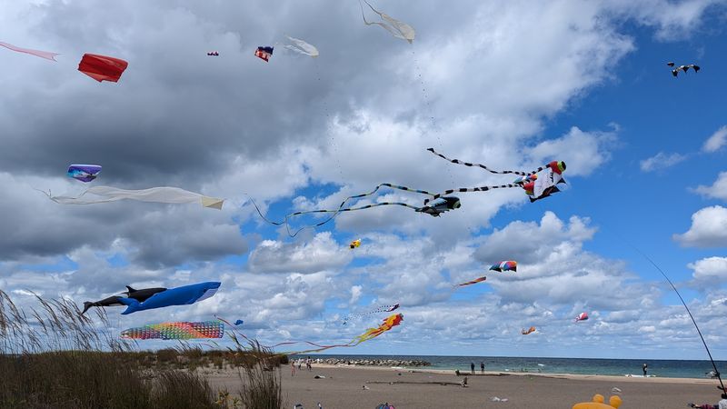 Summer Events That Turn Beach Days Into Full Experiences