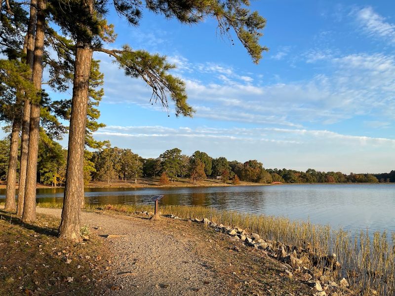 Summer Light Along The Lake