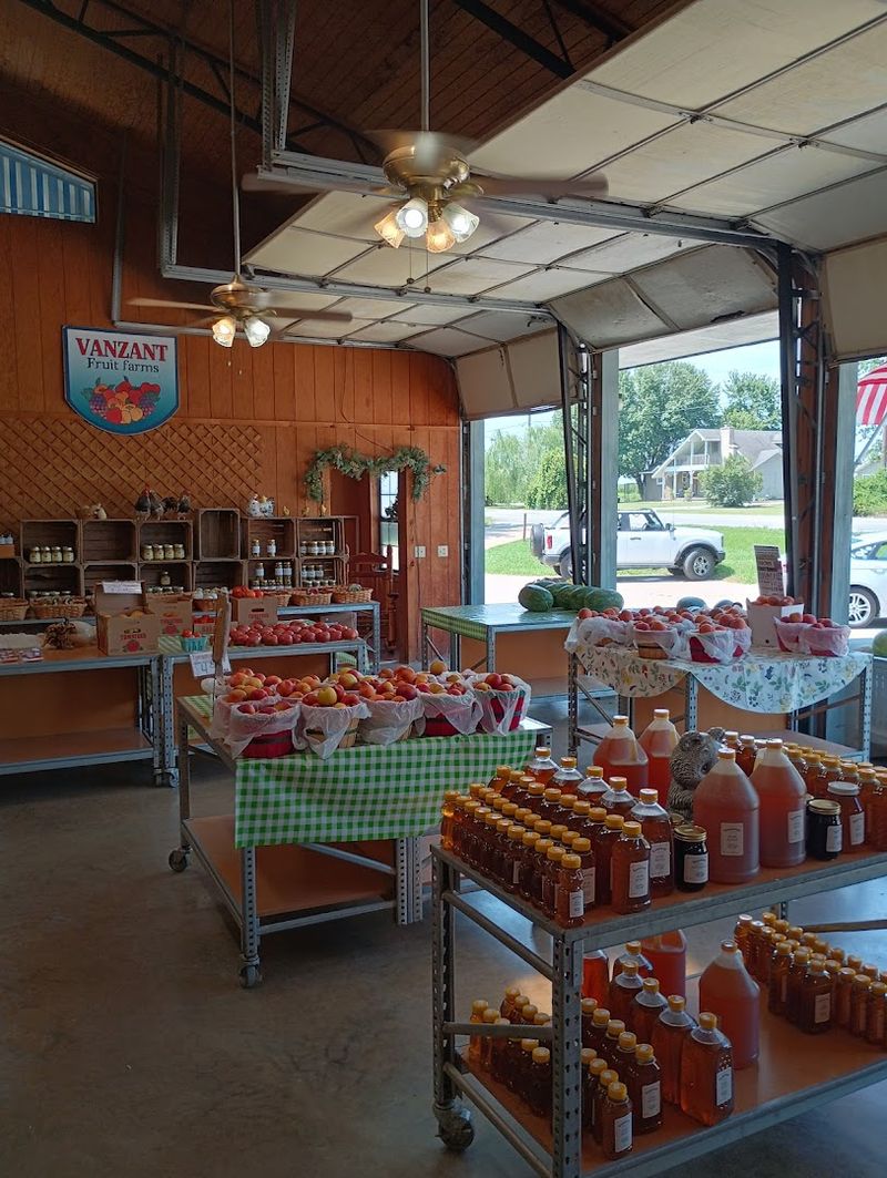 Summer Light Around The Farm Stand