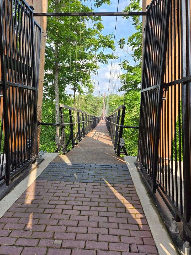 Summer Views Deserve Some Shade Planning