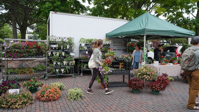 Summer woodstock farmers market