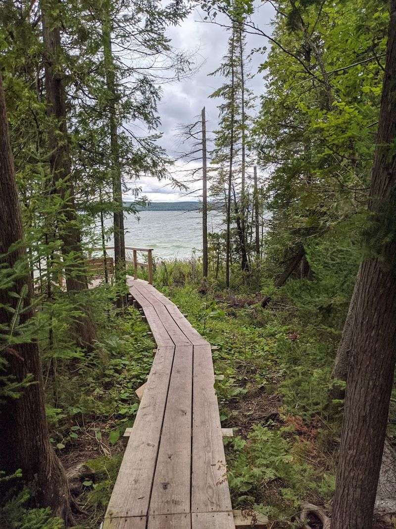 River Morning: Boardwalk, Fog, And Soft Footsteps