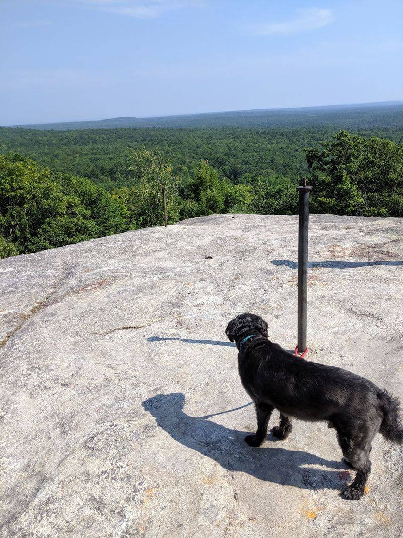 Summit Trail, Bradbury Mountain State Park, Pownal