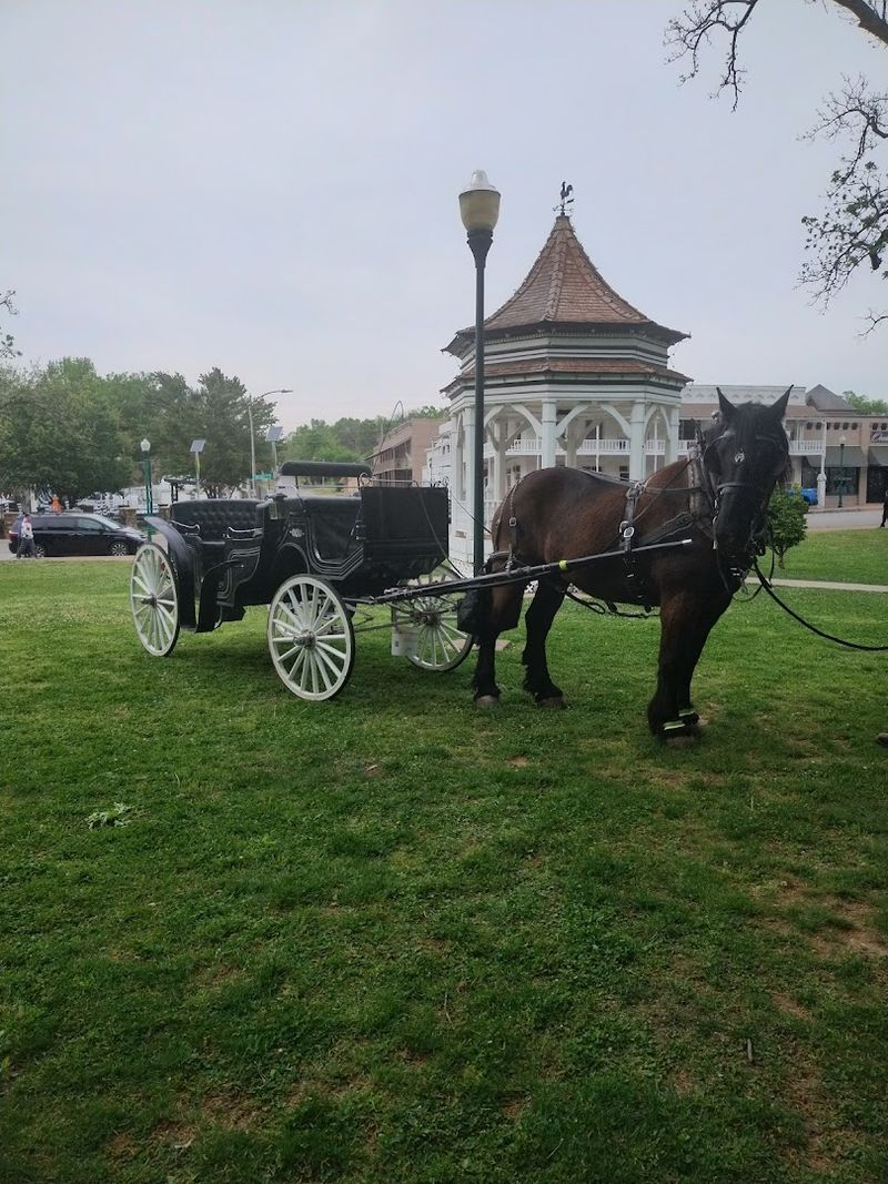Orange Sky Carriage Rides LLC, Siloam Springs