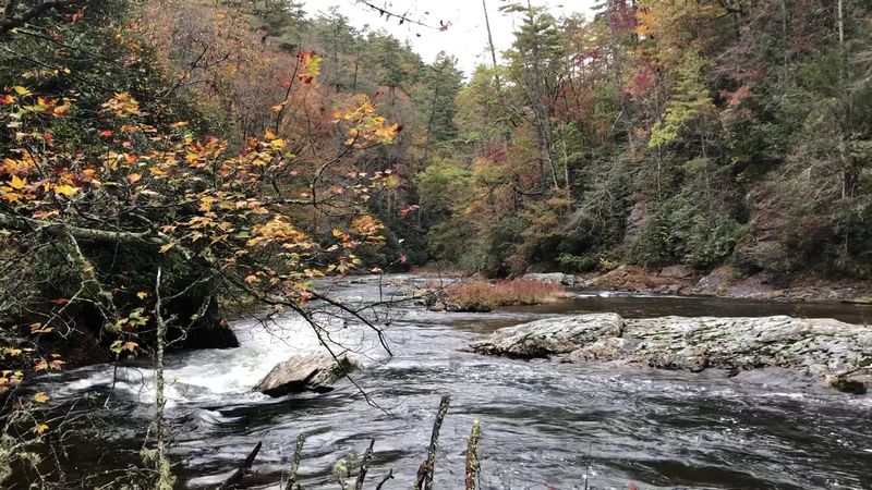 Sumter National Forest Wraps The Town In Millions Of Acres Of Wild Beauty