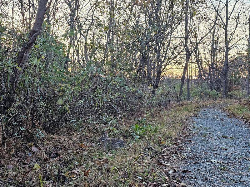 The Preserve Offers Much More Than Just Fossil Hunting