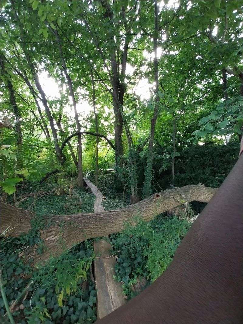 Quiet Hours, Loud Meaning