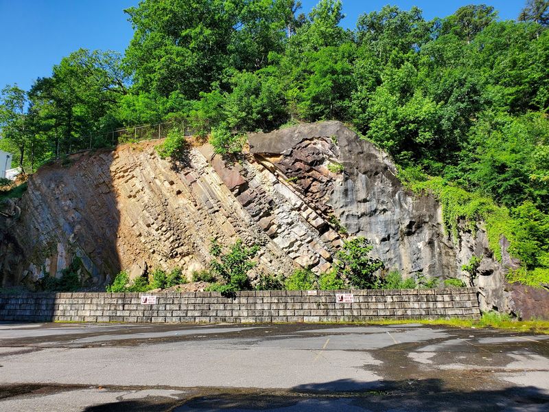 Sun-Warmed Rocks Can Attract Resting Snakes