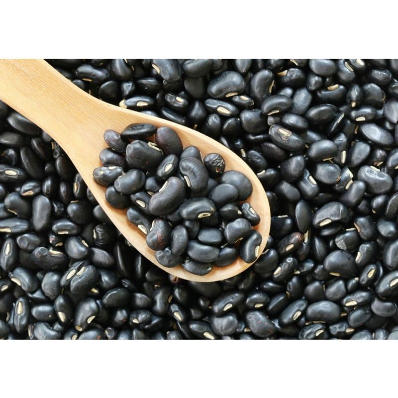 Black Beans: Lectin-Loaded Legumes