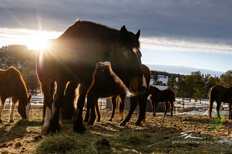 Sundance Trail Guest Ranch - Red Feather Lakes