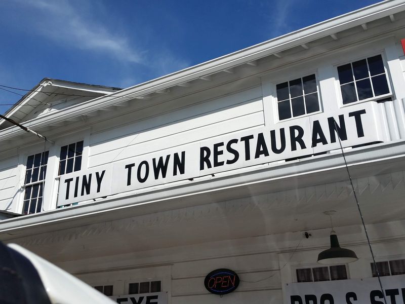 Tiny Town Restaurant – Homer (TIME CAPSULE PICK)