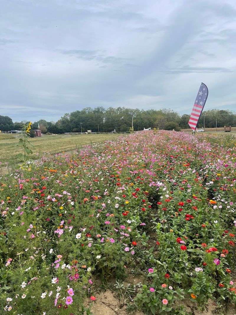 Building Your Bouquet Is Part Of The Fun, Not Just The Result