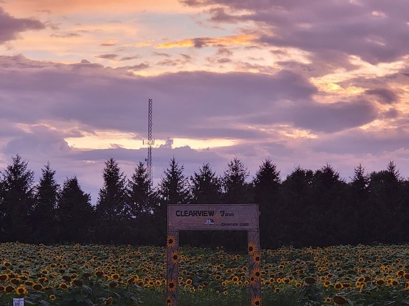 The Fields Are Open Around The Clock