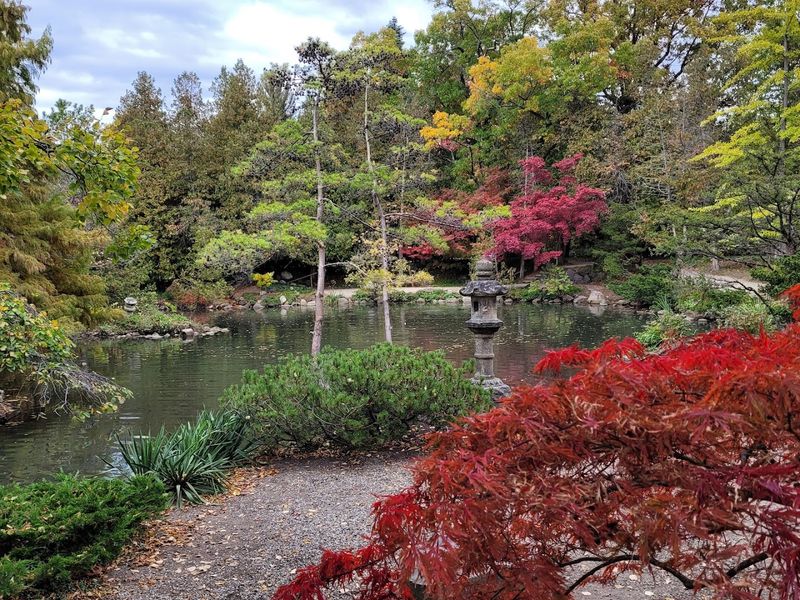 Japanese Garden, Quiet Renewal