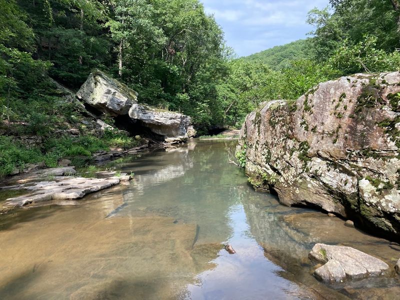 A Natural Pool Ideal For Cooling Off