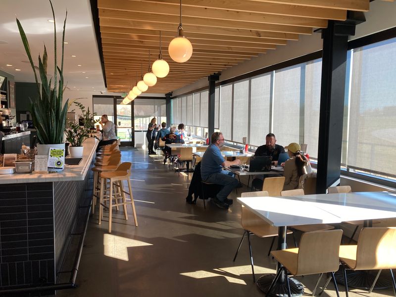 Sunlight Fills The Dining Room