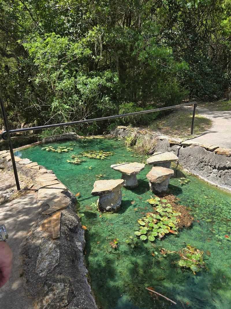 Ancient Fossil Beds That Connect You To Prehistoric Florida