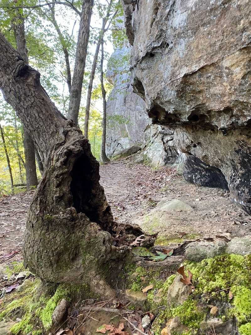 Sunlight Slips Through Deep Rock Crevices Sunlight Slips Through Deep Rock Crevices