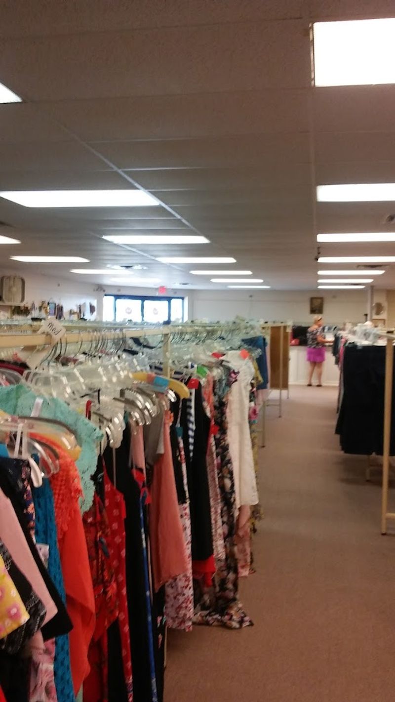 Sunlit Aisles And Secondhand Charm