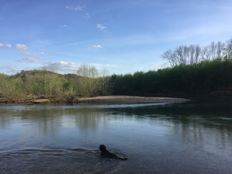Sunlit Gravel Bars Beside The Current
