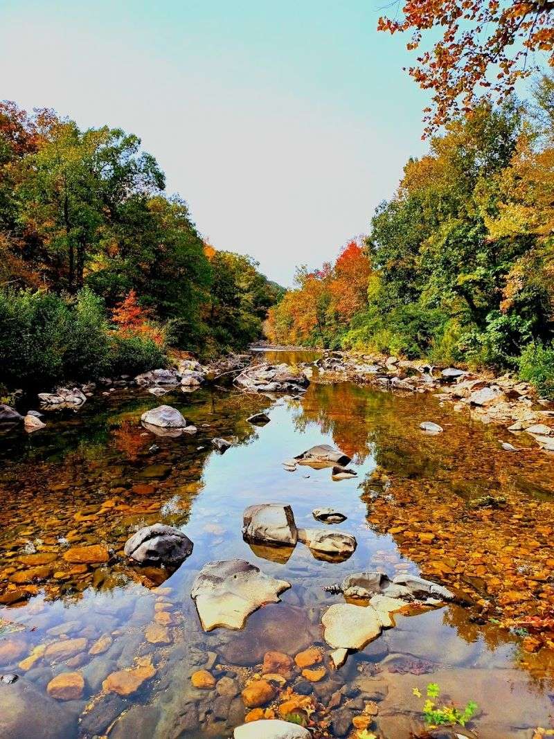 Sunlit Water Between Forested Bluffs