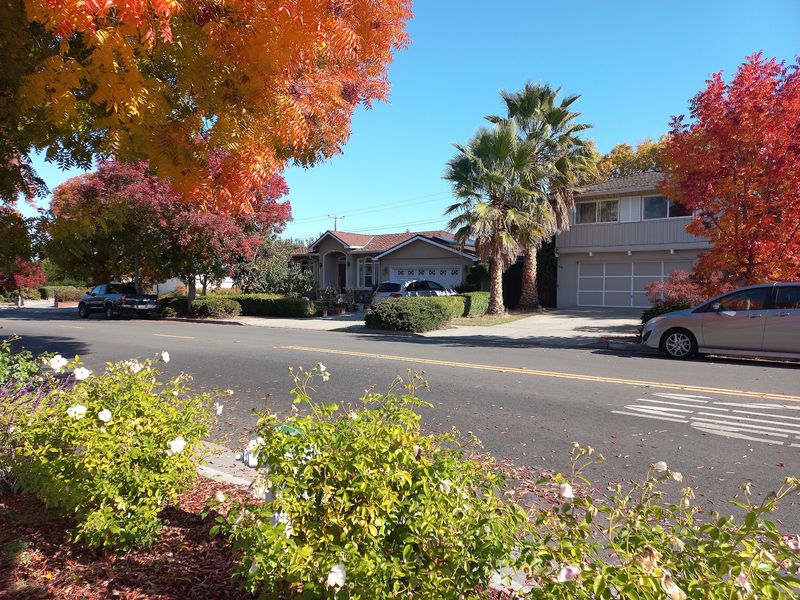 Sunnyvale