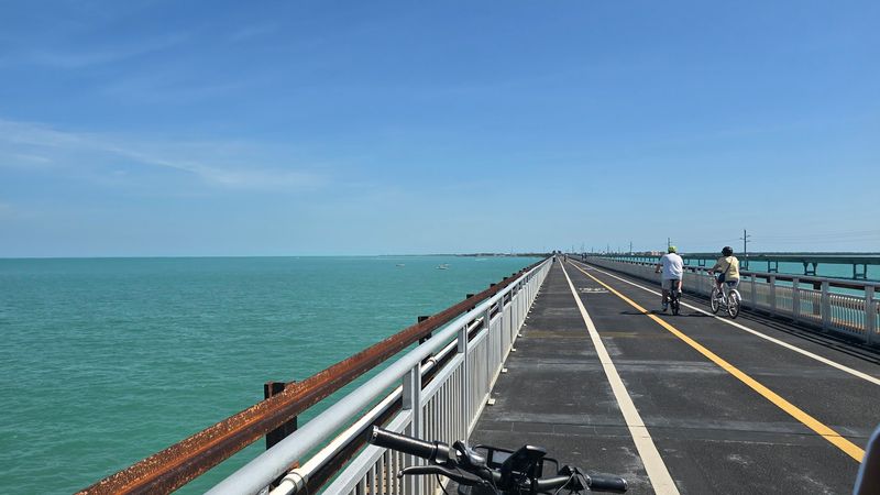 Wildlife Sightings Make Every Walk Feel Like A Discovery
