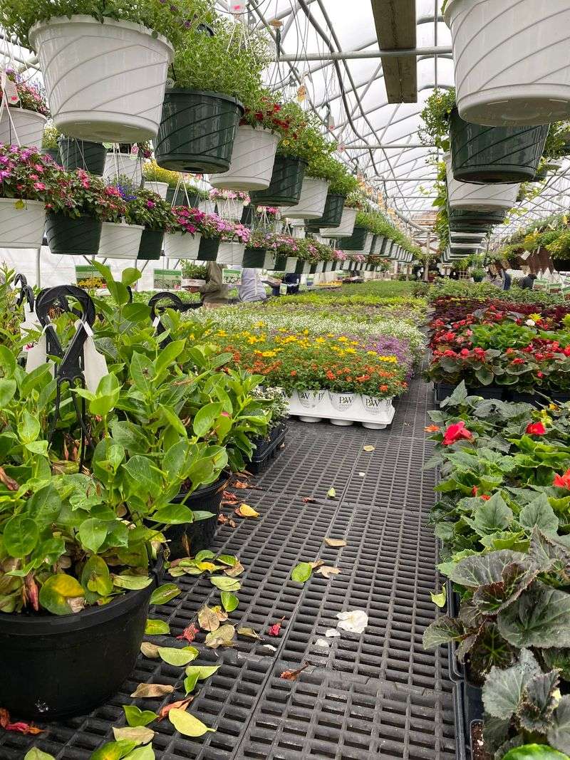 Sunrise Farm Amish Greenhouse And Grocery Store Sunrise Farm Amish Greenhouse And Grocery Store