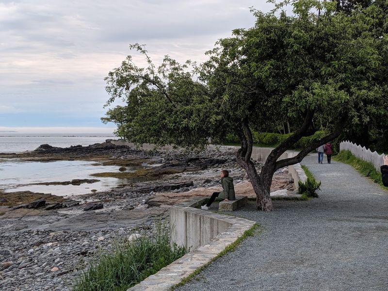 Dogs Are Welcome On The Trail