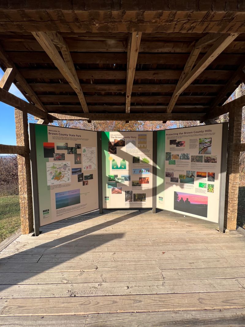 Accessible Wonder for All Ability Levels