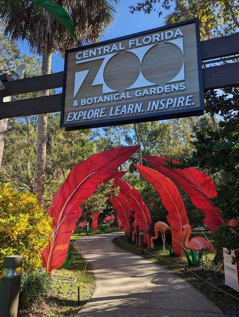 Sunset At The Zoo Celebrating Black & African American Heritage, Sanford