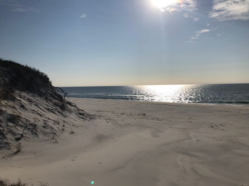Cape San Blas Polar Plunge On New Year’s Morning
