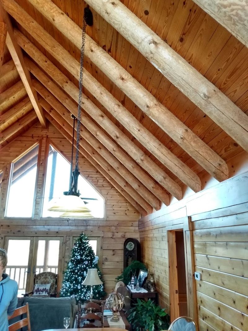 Family Run Cafes Serving Comfort Without Fuss