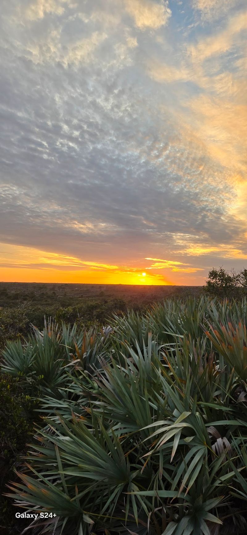 Sunset Magic On The Sandy Summit
