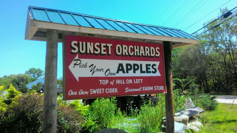 Sunset Orchard Farm