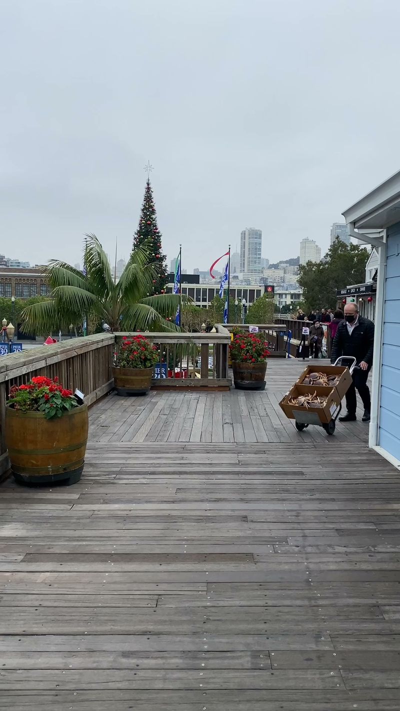 Chowder And Sea Lion Intermission