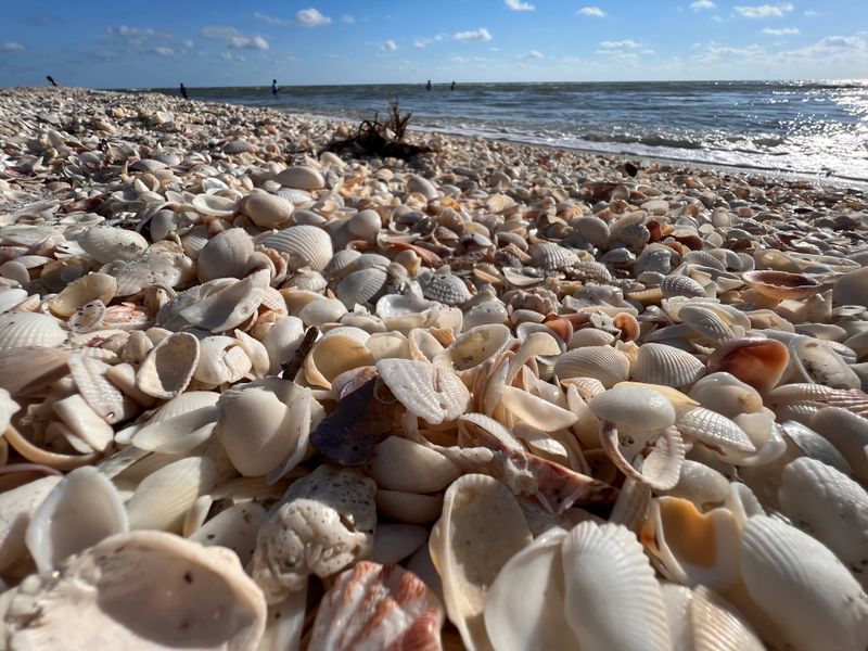 A Walk Through Time And Tide