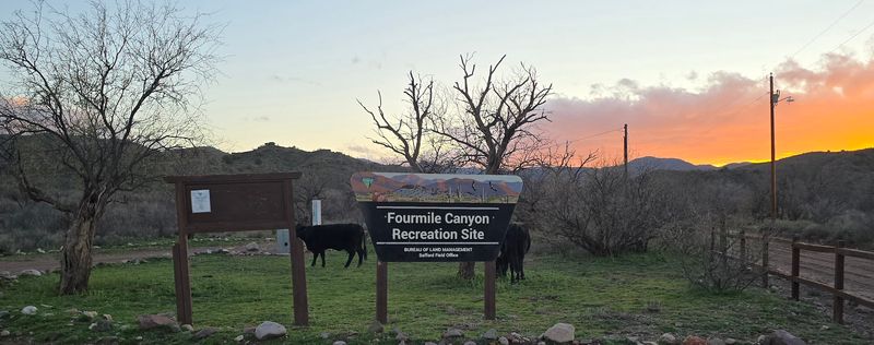 Fourmile Canyon Campground, BLM