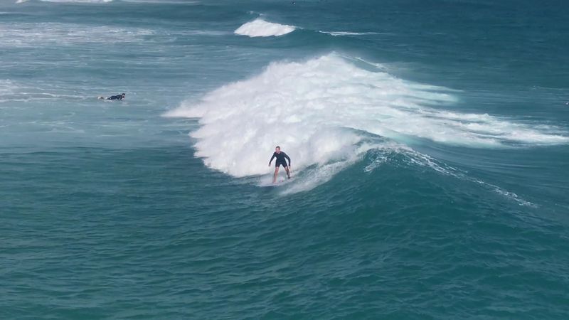 Dog-Friendly Waters Where Four-Legged Friends Thrive
