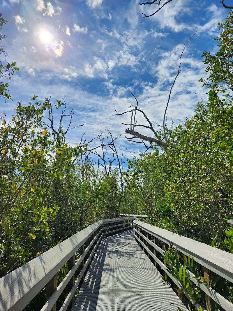 The Living Science Classroom Outdoors