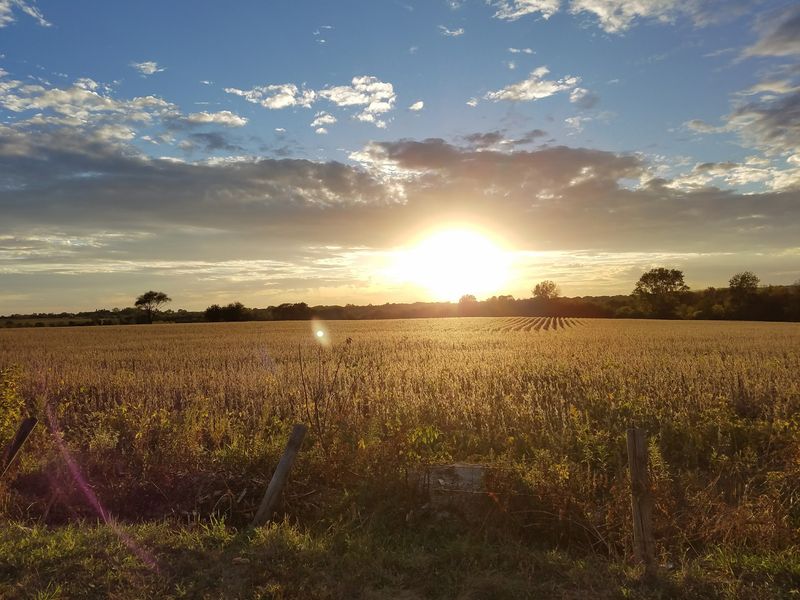 Sunsets, Fire Pits And Wide Prairie Views Sunsets, Fire Pits And Wide Prairie Views